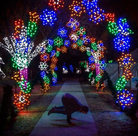 14' Walk Through Butterfly Arch