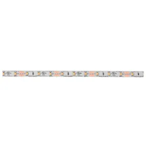 16-Ft 4TL 12-Volt 2700K LED High Output Dry Tape Light Strip