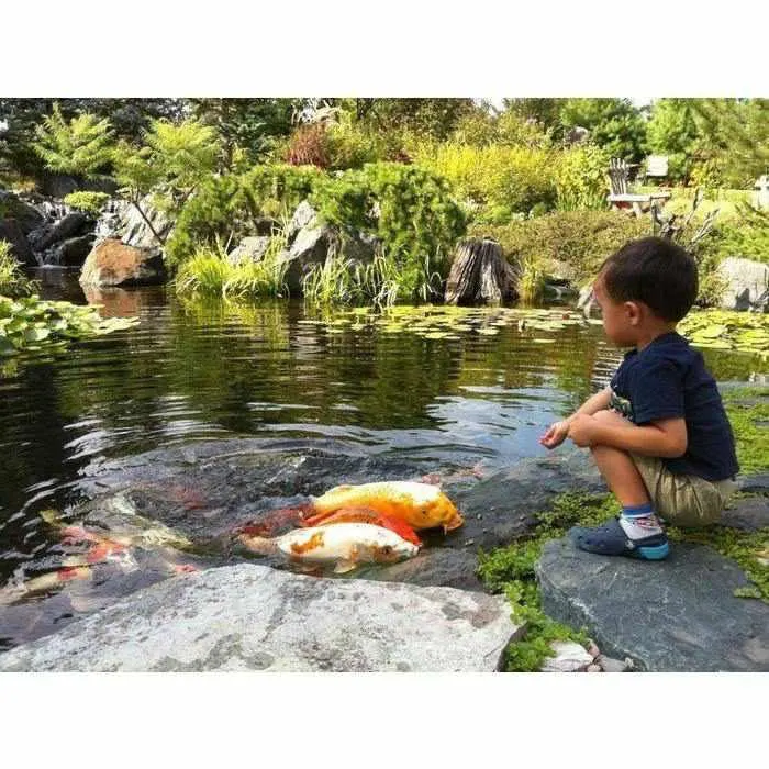 Aquascape Large Pond Kit 21x26 with 9PL - 7000 Pump