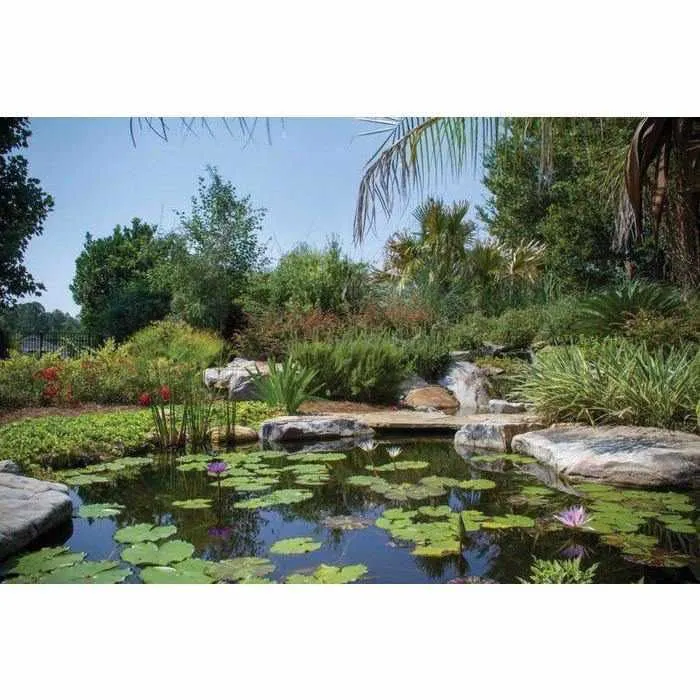 Aquascape Large Pond Kit 21x26 with 9PL - 7000 Pump