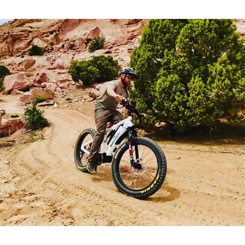 Bakcou Storm Full Suspension Fat Tire Electric Bike